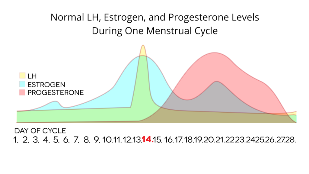 chart showing how estrogen, lh, and progesterone levels rise and fall during the menstrual cycle (the Clearblue Monitor tracks estrogen and LH, but not progesterone)